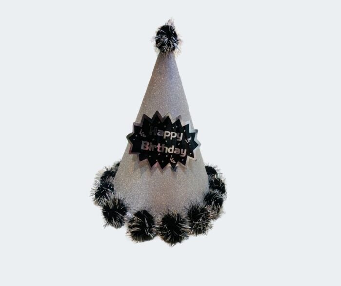 Happy Birthday Party Hat