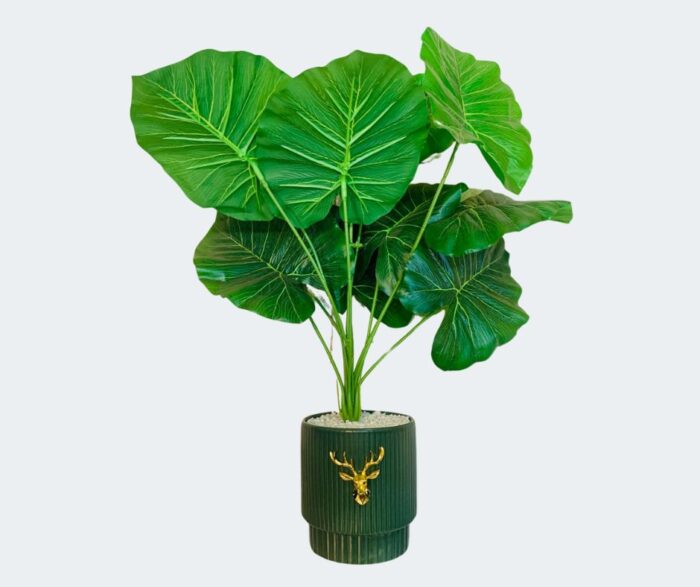 Plastic Flower Pot