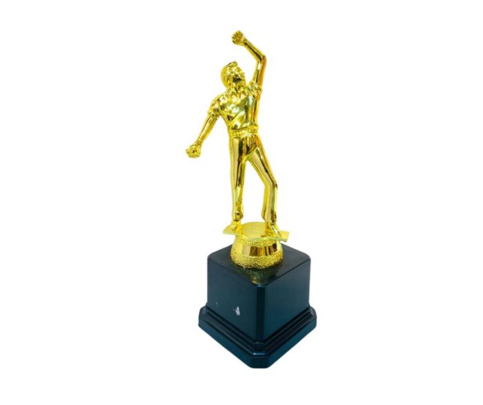 Trophy 39240353