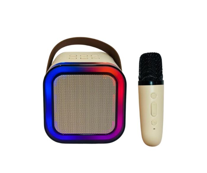 Wireless Karaoke Speaker - K12 - Image 2
