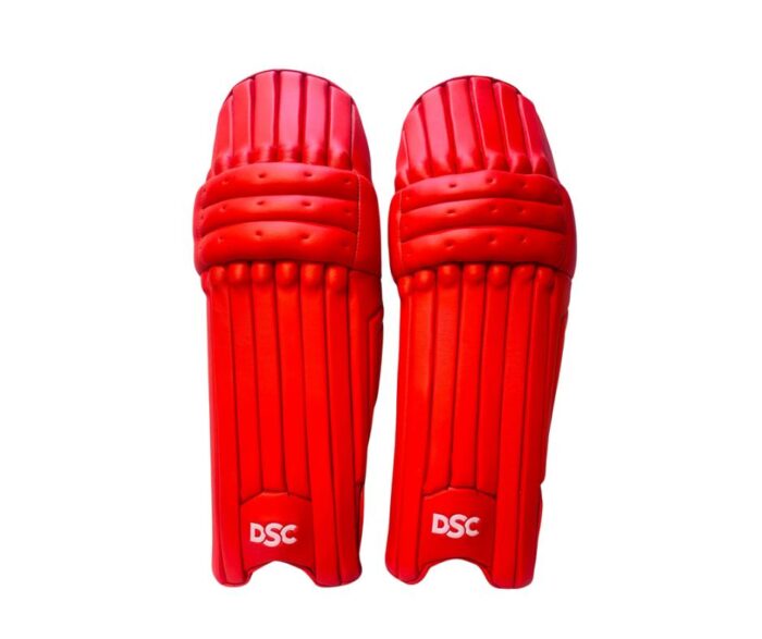 DSC Batting Pad Red
