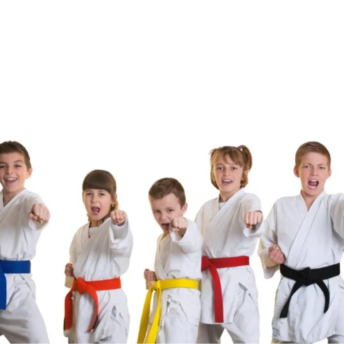 Karate Belts