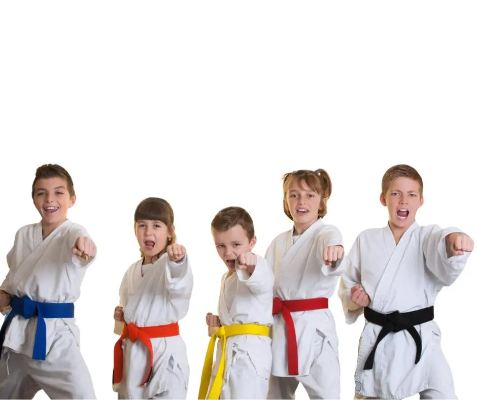 Karate Belts