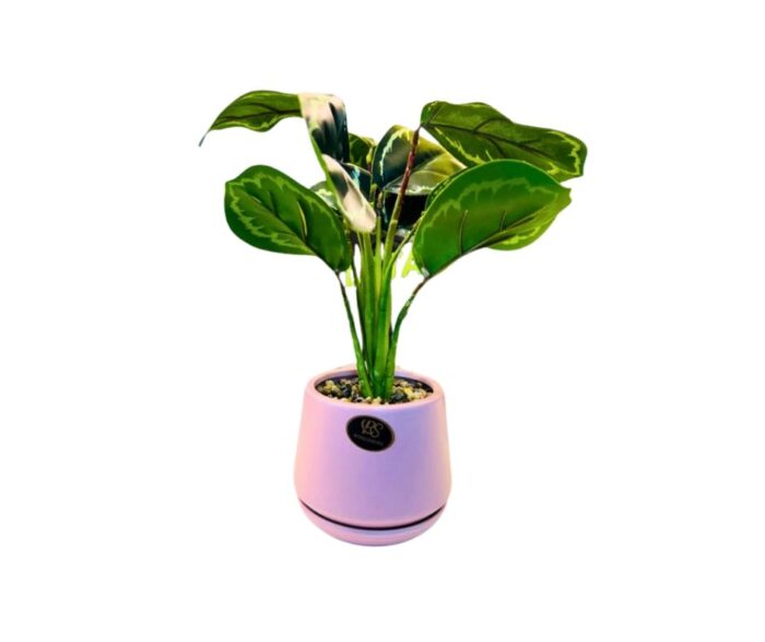 Ceramic Vase 39240593