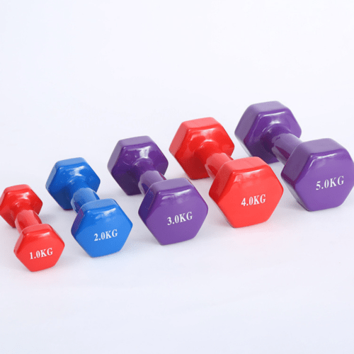 LADIES DUMBELL 5KG